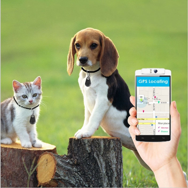 Pet Smart GPS Tracker